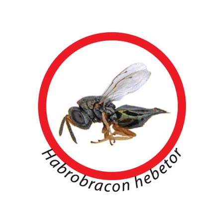 Osd gruppo Ecotech srl